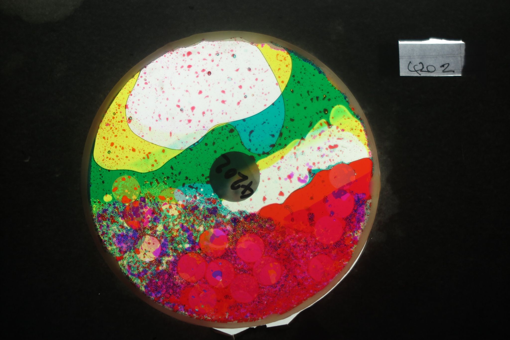 BV4202 bubble vision oil wheel